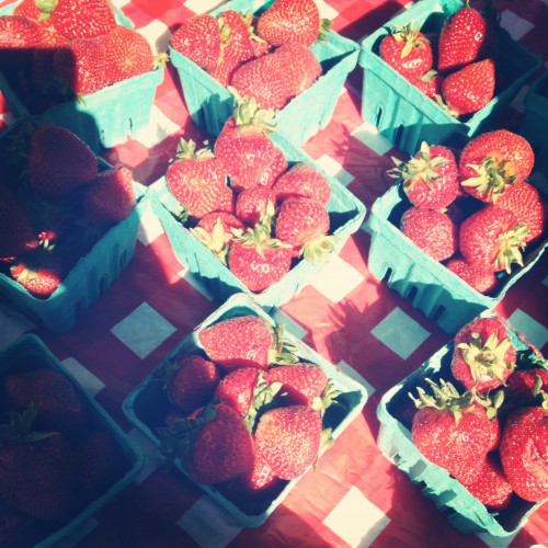 strawberry pic